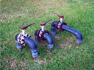 Lorem ipsum dolor sit amet, consectetur adipiscing elits.